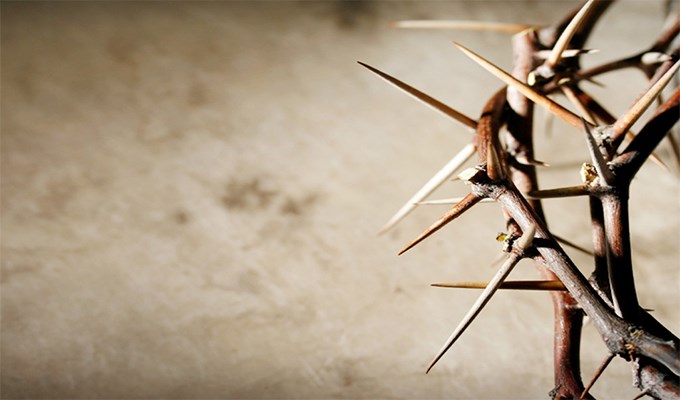 Niềm vui của trái tim yêu thương