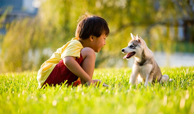 Ứng xử với thú cưng
