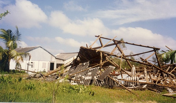 Vẫn luôn rung cảm trước cảnh tang thương