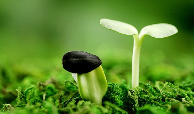 Gặp bão hay gặt bão?