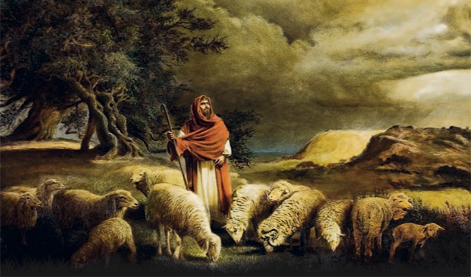 Mục tử và công việc