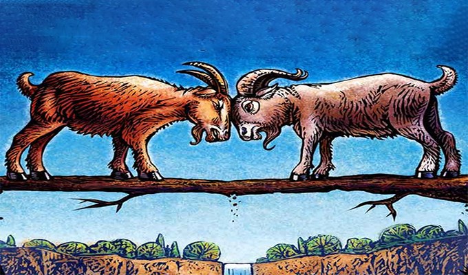 Bài học từ chuột