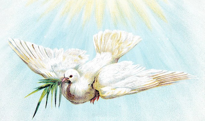 Sức sống mới