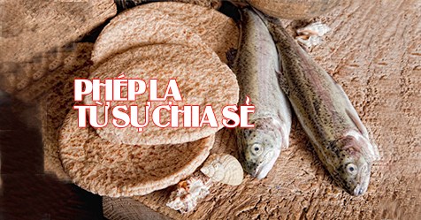 HỌC HỎI PHÚC ÂM CHÚA NHẬT XVII THƯỜNG NIÊN NĂM B