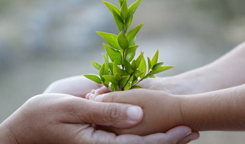 Chấp nhận khả năng của con