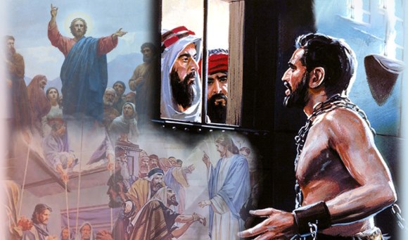 Sậy / cây sậy / đám sậy