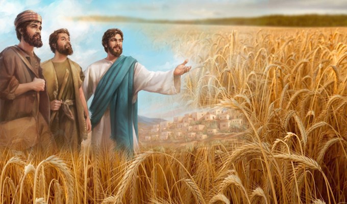 Thừa sai và trách vụ