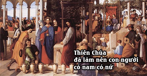 HỌC HỎI PHÚC ÂM CHÚA NHẬT XXVII THƯỜNG NIÊN - NĂM B