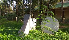 Khu vườn tượng nhìn quá... hoang hóa !