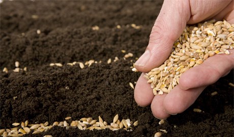 HỌC HỎI PHÚC ÂM CHÚA NHẬT V MÙA CHAY NĂM B