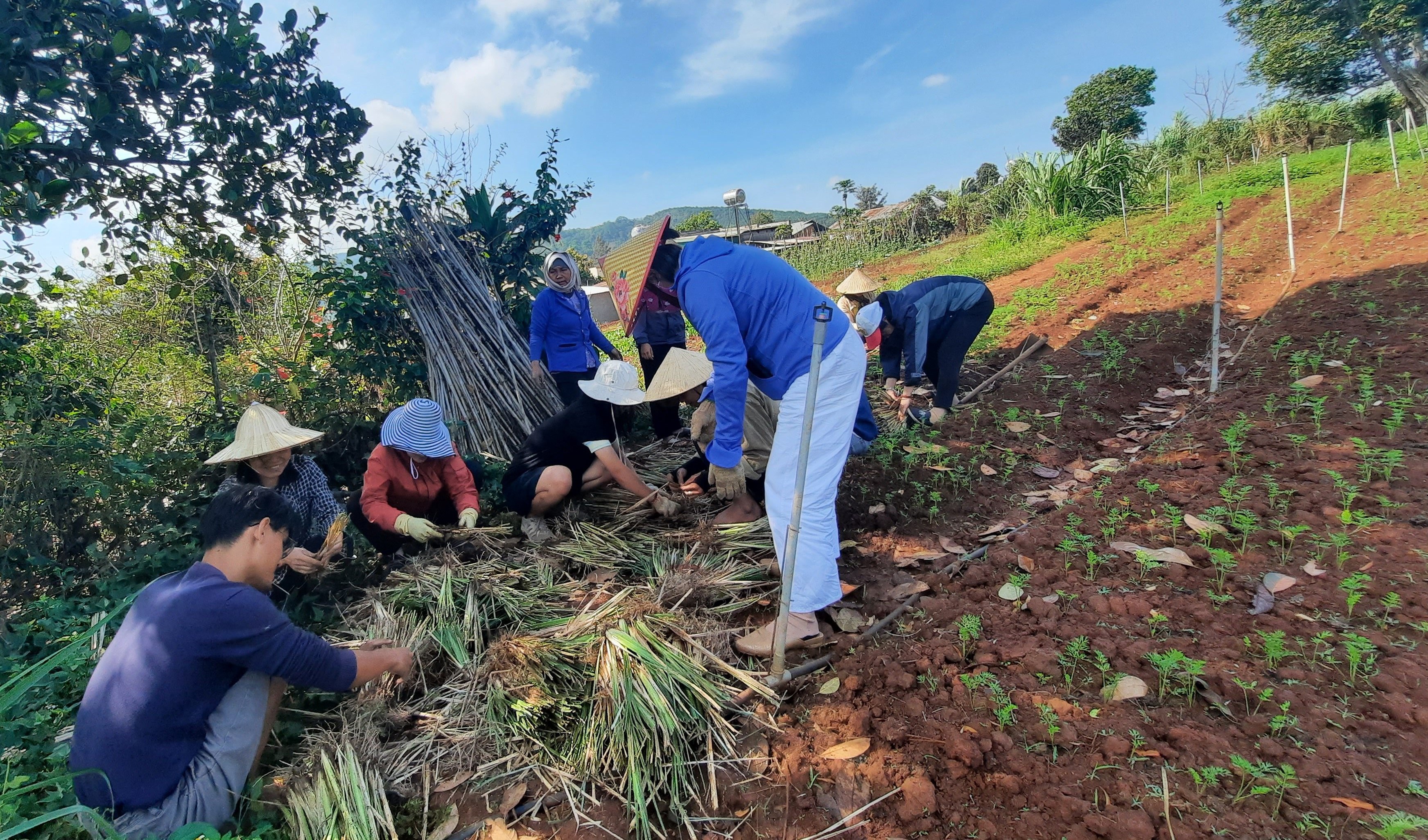 Caritas giáo phận Ðà Lạt giúp nông dân bảo vệ đất và cây trồng