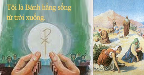 HỌC HỎI PHÚC ÂM CHÚA NHẬT XIX THƯỜNG NIÊN - NĂM B