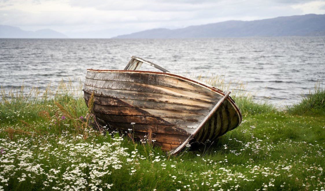 Mũi vạy thì lái chịu đòn