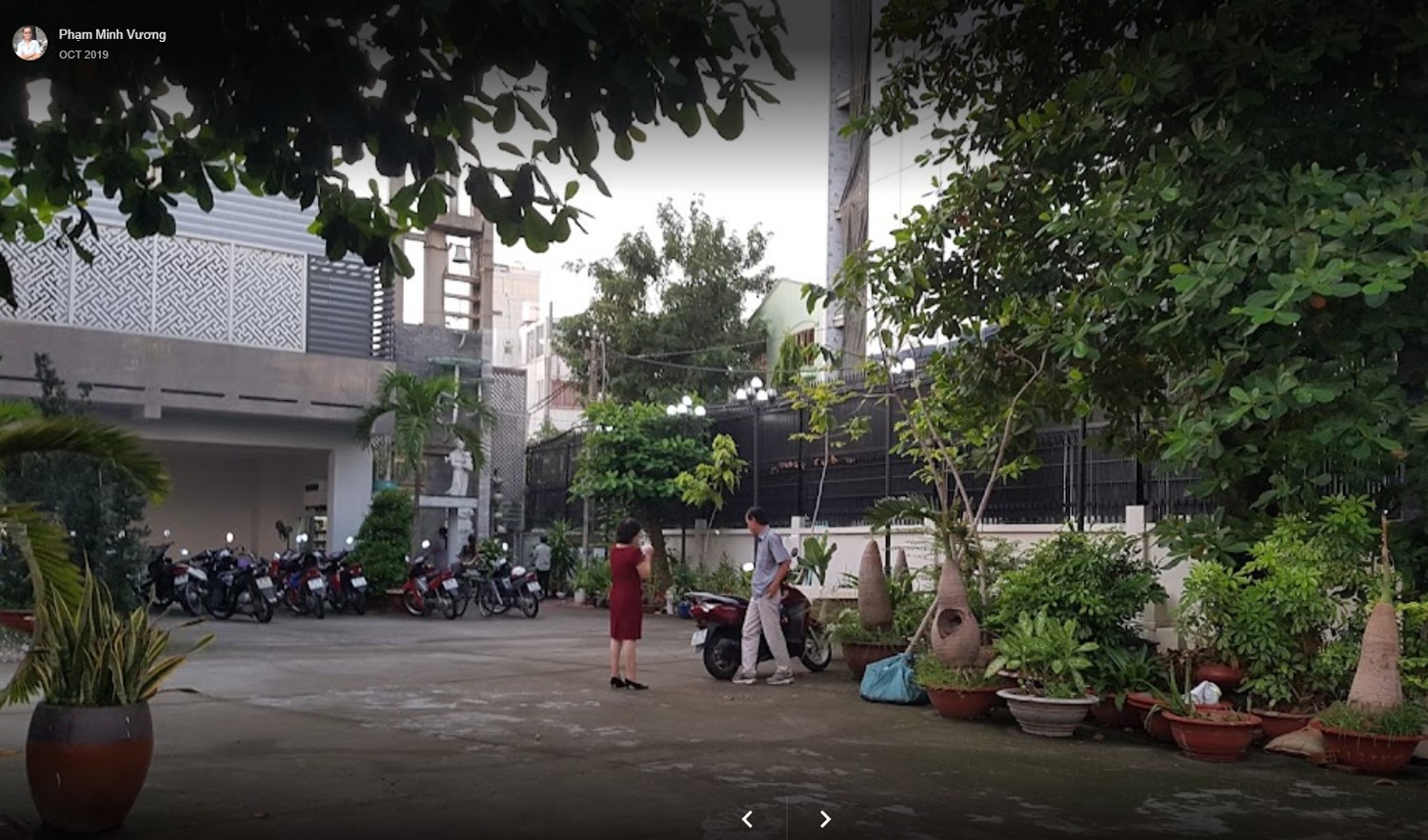 Nét xuân xanh Tống Viết Bường