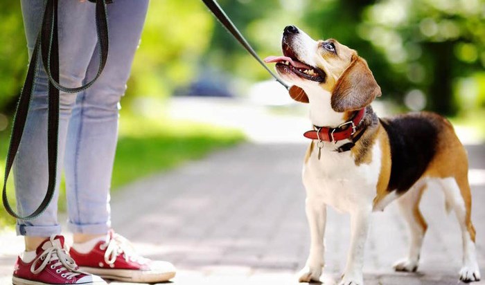 Nếu ai cũng có ý thức, thì…
