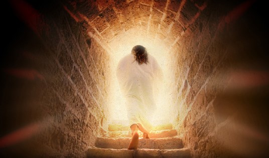 Hãy cộng tác tích cực vào kế hoạch cứu độ của Chúa