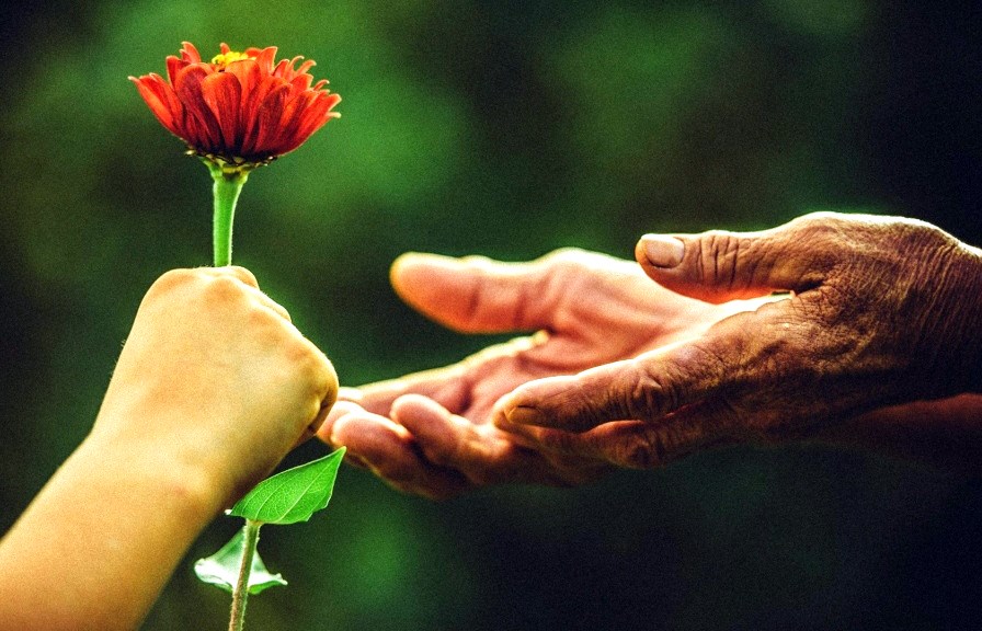 Vẻ đẹp của sự tử tế