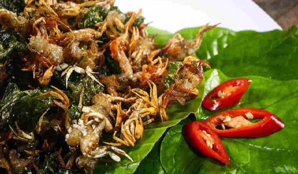 Cua rang lá lốt