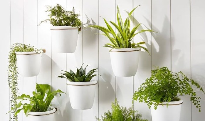 Khi trẻ mê trồng cây xanh