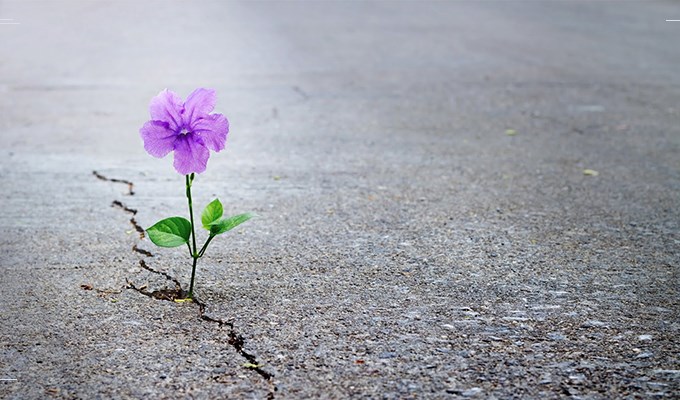 Thay đổi và chấp nhận