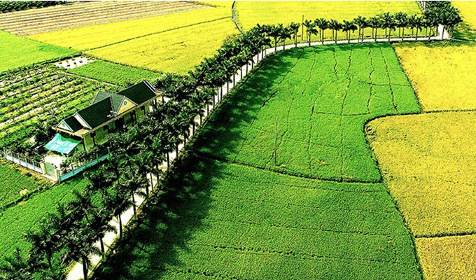 Qua cách gọi “Tỉnh lộ”, “Quốc lộ”, “Ðại lộ”...  rí thông minh trong cách dùng chữ của người Việt