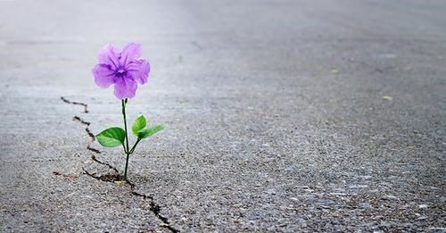 Chuyện từ một gia đình trẻ