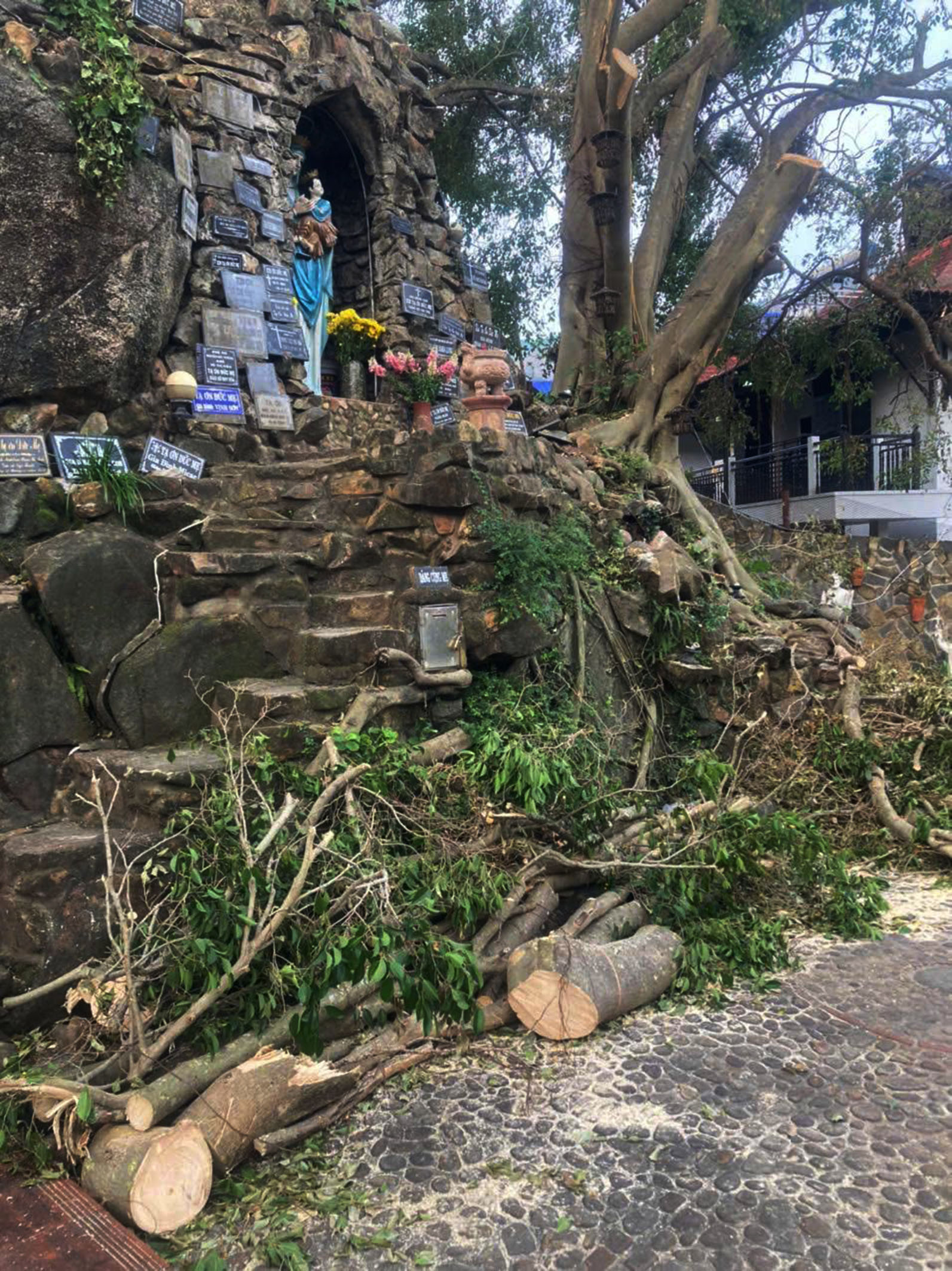 Chuyện trên thiên đàng không có lá để quét