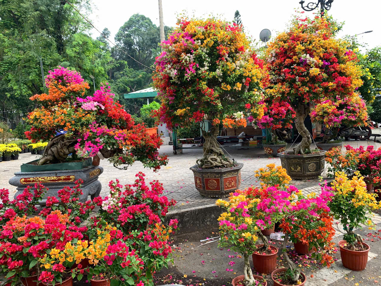 Màu Tết ở Sài Gòn