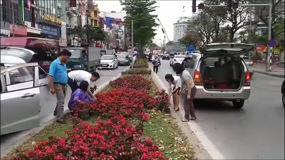 Káº¿t quáº£ hÃ¬nh áº£nh cho láº¥y hoa ven ÄÆ°á»ng