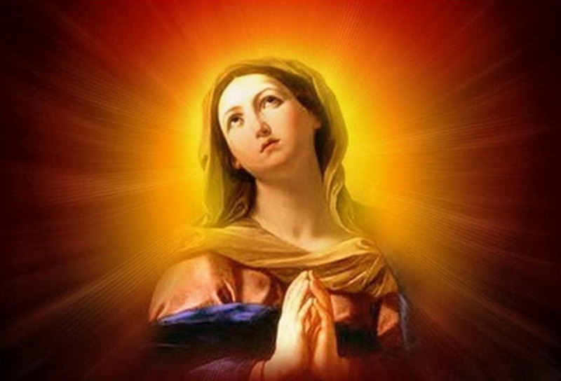 Kết quả hình ảnh cho kinh dâng gia Äình cho Äức mẹ