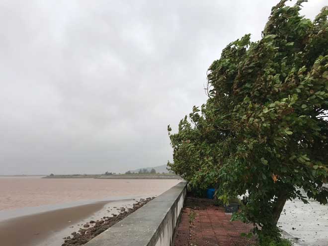 Káº¿t quáº£ hÃ¬nh áº£nh cho bÃ£o sá» 3 2019