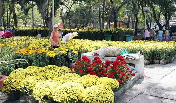 Chạm vào tết