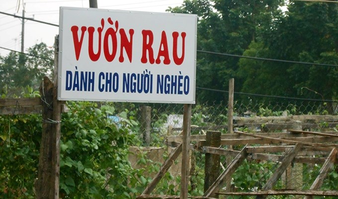 Vườn rau ông cha