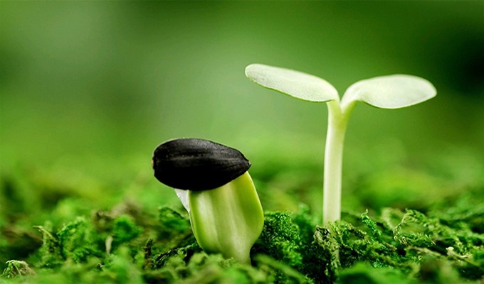 Ngày mai sẽ ra sao ?