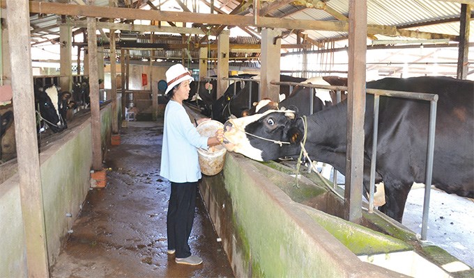 Những sản phẩm “made in dòng tu”