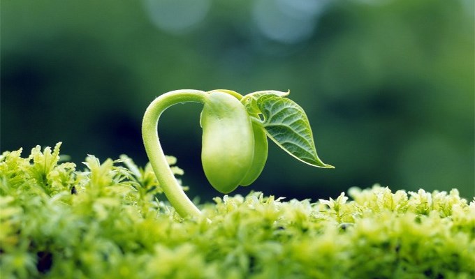 Gieo việc tốt, gặt hái lời ?