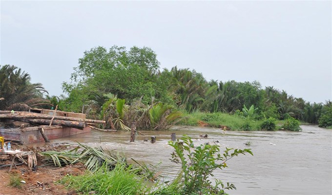 Nên chủ động phòng chống...