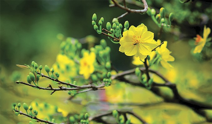 Tin Mừng từ gia đình!