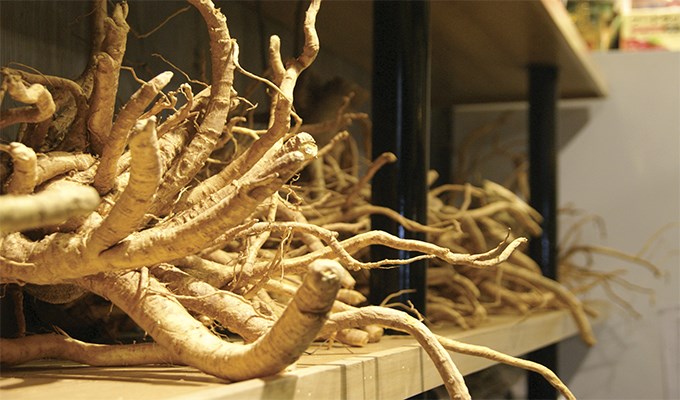 Tản mạn với rượu Ðinh Lăng