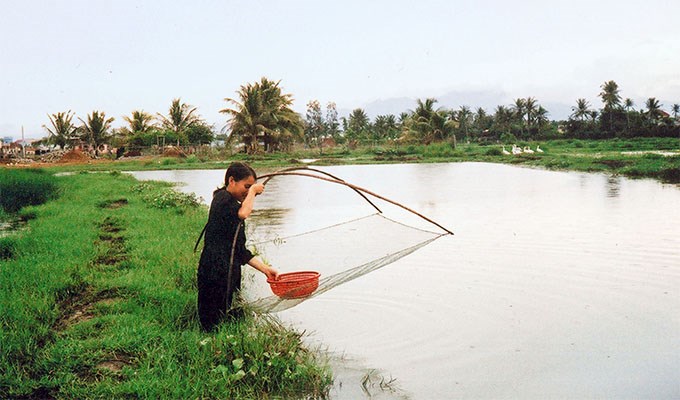 Hương làng quê giữa phố