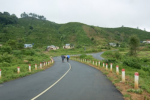 Trong trái tim Di Linh