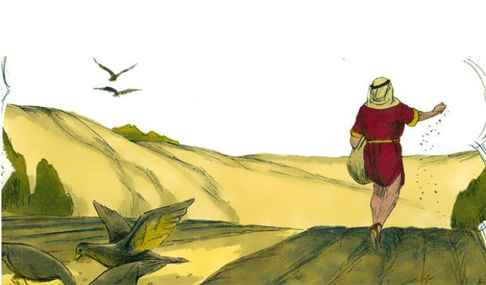Trổ sinh  bông hạt