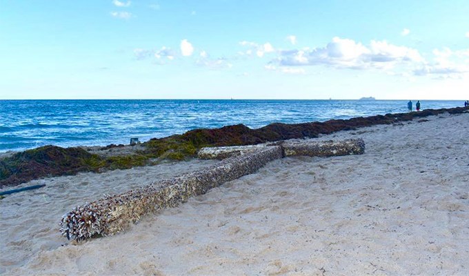Cây thánh giá khổng lồ xuất hiện trên bờ biển Florida