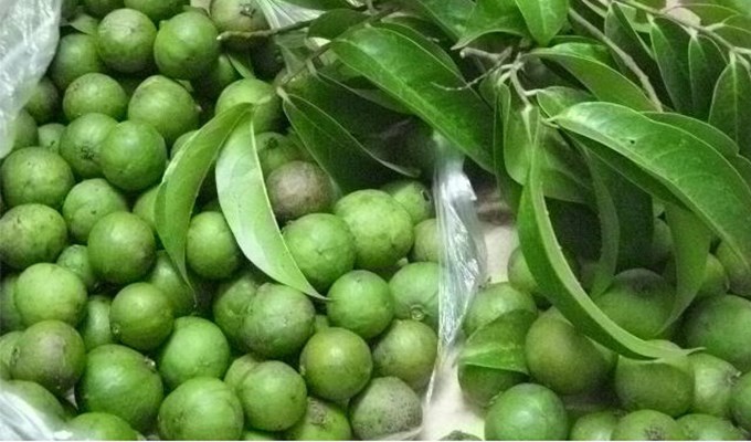 Hà Nội mùa sấu