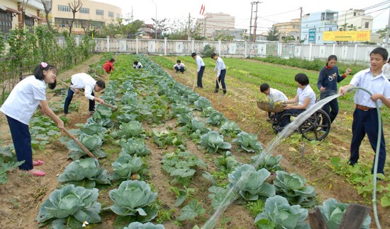 Những người trẻ lớn lên từ mái ấm