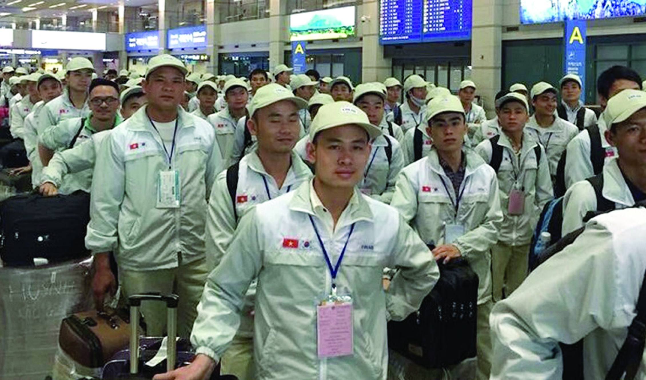 Chuyện của những cánh chim tha hương