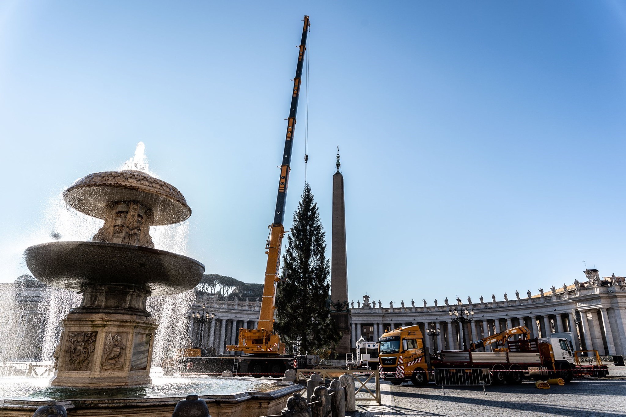 Cây thông Giáng Sinh về đến Vatican