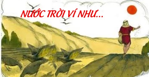 HỌC HỎI PHÚC ÂM CHÚA NHẬT XV THƯỜNG NIÊN - NĂM A
