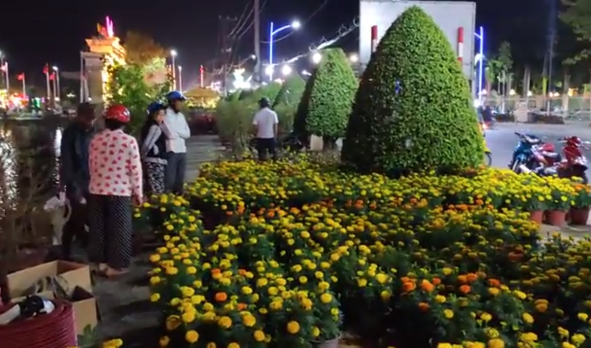 Tháng chạp, hoa kiểng về vùng nước mặn…