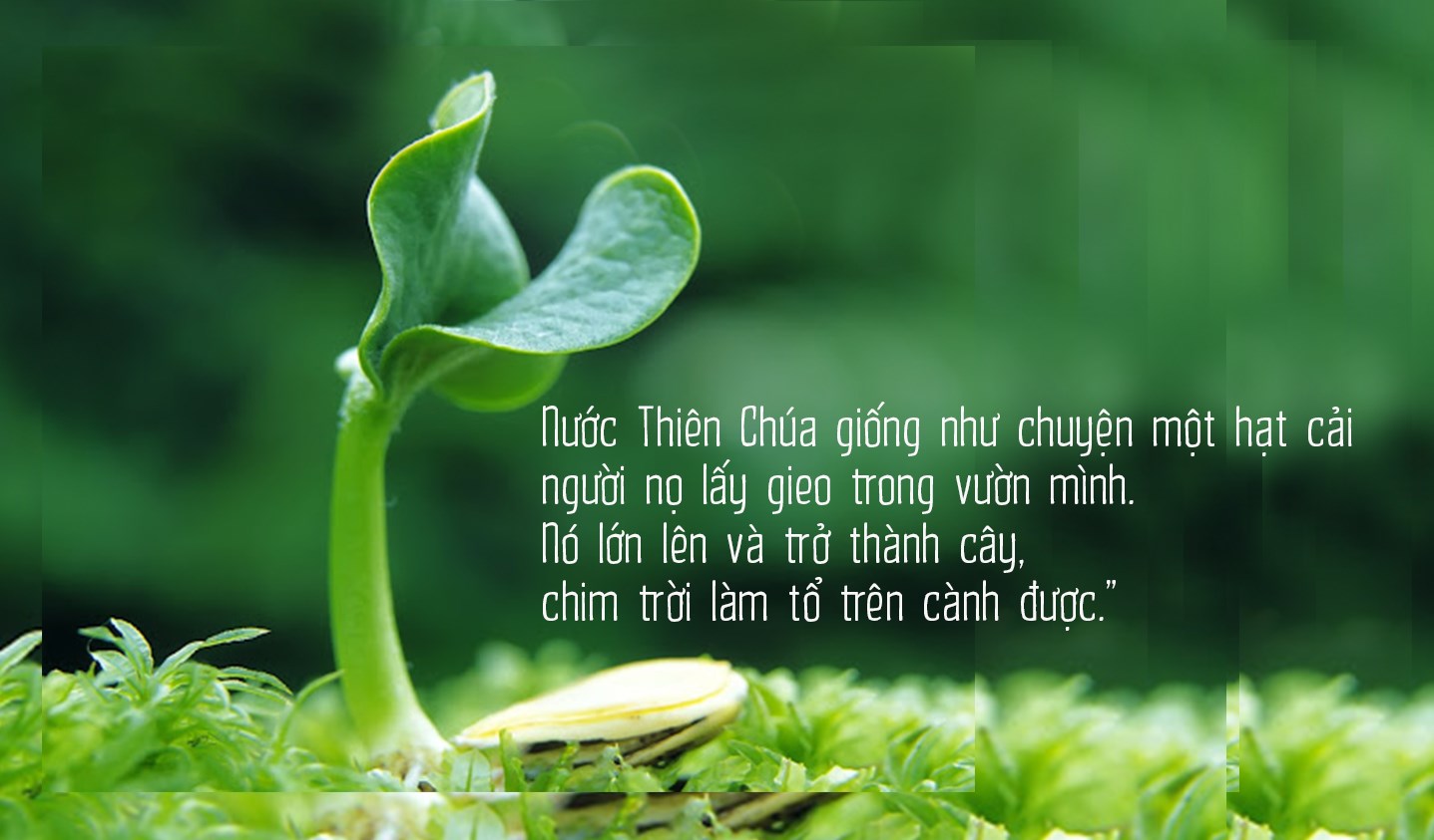 NƯỚC TRỜI: CHÂN TRỜI HY VỌNG